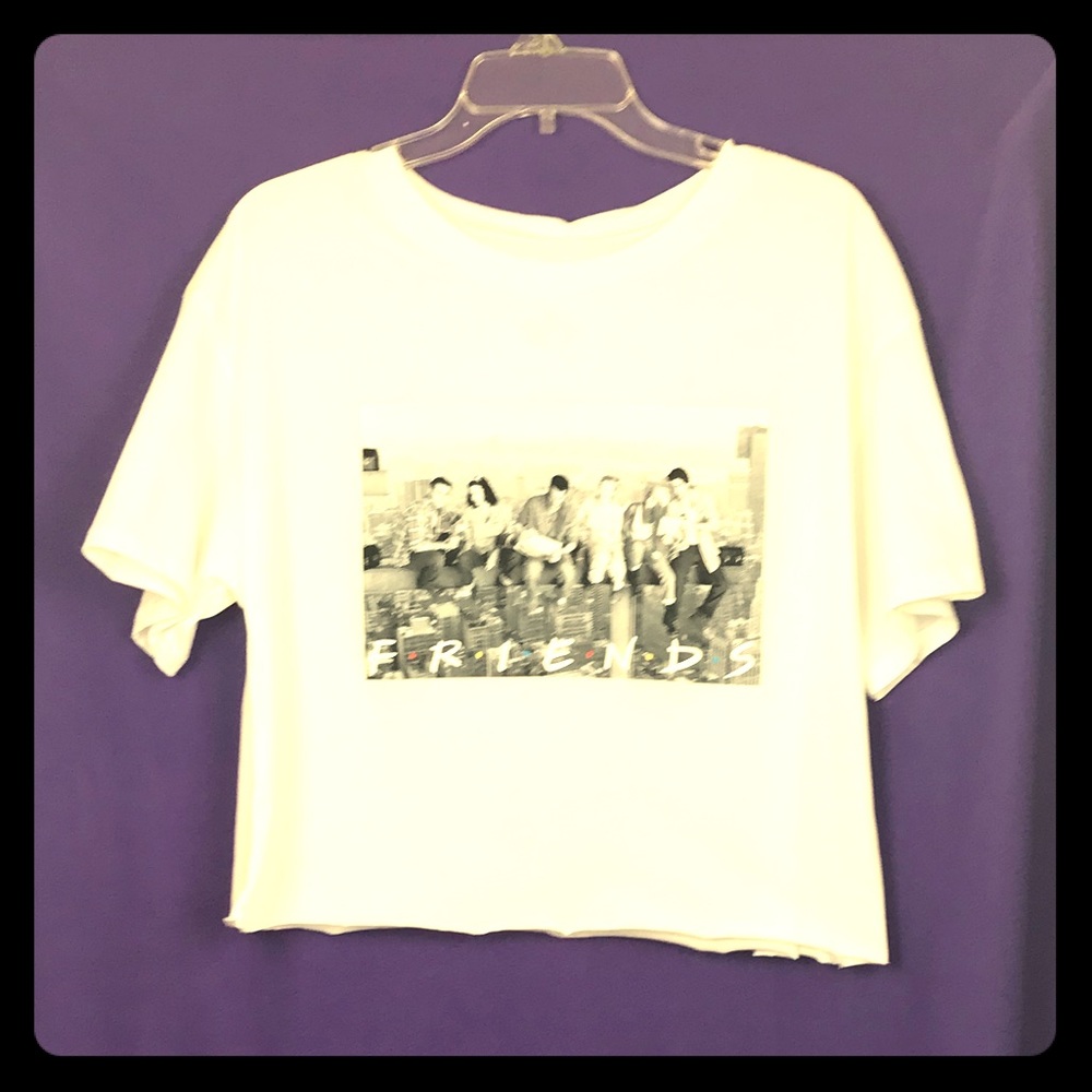 Friends TV Show Cast Group Photo Crop Top - L